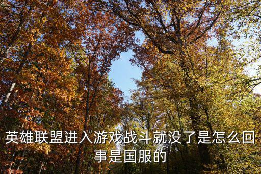 英雄联盟进入游戏战斗就没了是怎么回事是国服的
