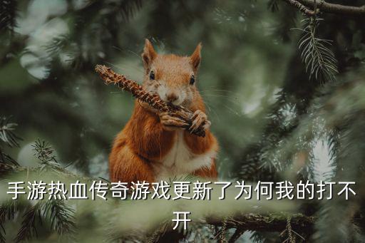 手游热血传奇游戏更新了为何我的打不开