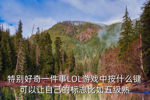 特别好奇一件事LOL游戏中按什么键可以让自己的标志比如五级熟