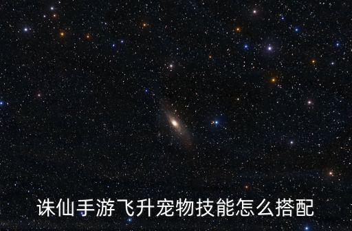 诛仙手游飞升宠物技能怎么搭配