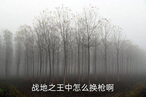 手游战地模拟器怎么换别的武器，战地模拟器这个游戏坦克这么换机枪急