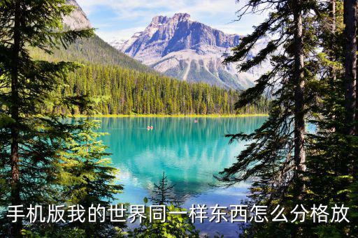 手机版我的世界同一样东西怎么分格放
