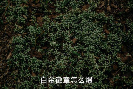 白金徽章怎么爆