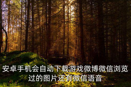 安卓手机会自动下载游戏微博微信浏览过的图片还有微信语音