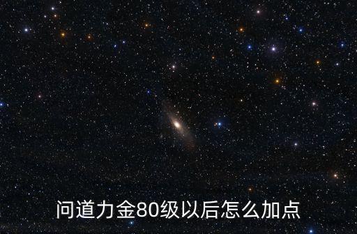 问道手游力金80后怎么加点，问道力金80级以后怎么加点