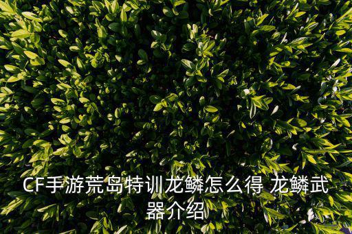 cf手游龙鳞怎么没有了，CF手游荒岛特训龙鳞怎么得 龙鳞武器介绍