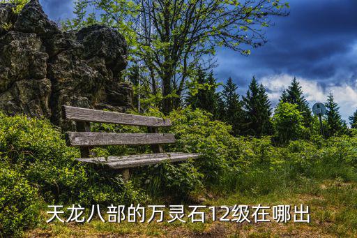 天龙八部的万灵石12级在哪出