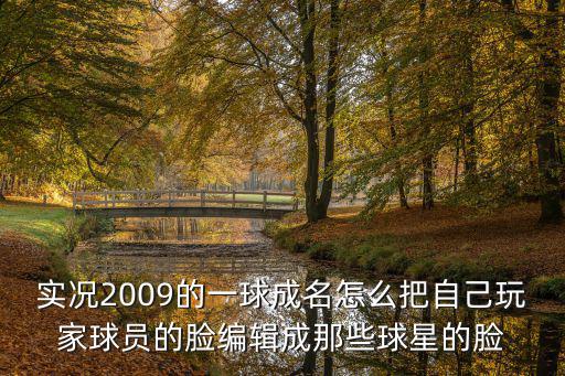 实况2009的一球成名怎么把自己玩家球员的脸编辑成那些球星的脸