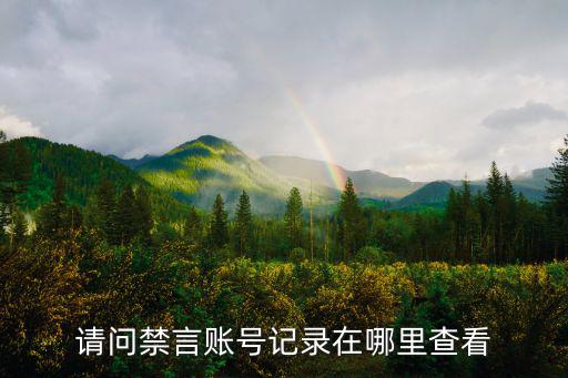 请问禁言账号记录在哪里查看