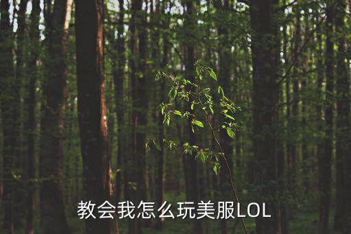 教会我怎么玩美服LOL