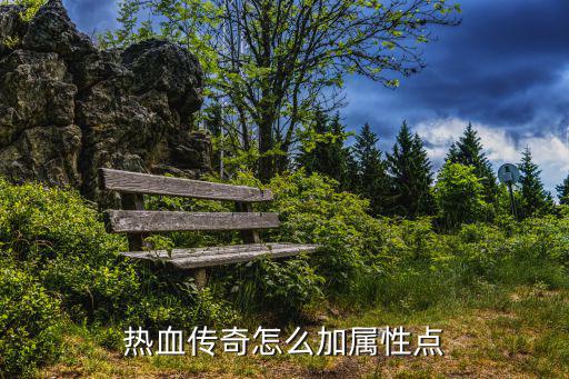 热血传奇手游飞龙兽怎么加点，热血传奇怎么加属性点