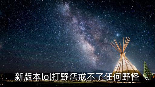 新版本lol打野惩戒不了任何野怪