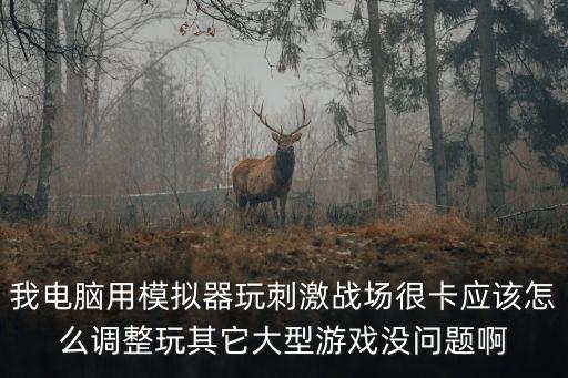 我电脑用模拟器玩刺激战场很卡应该怎么调整玩其它大型游戏没问题啊