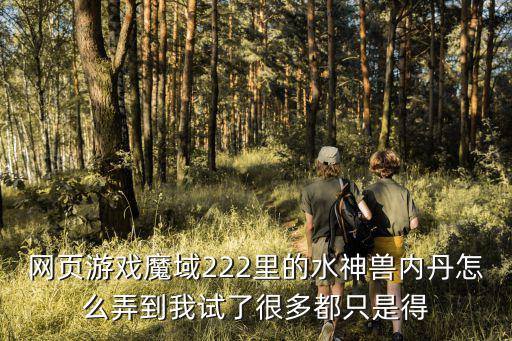 网页游戏魔域222里的水神兽内丹怎么弄到我试了很多都只是得