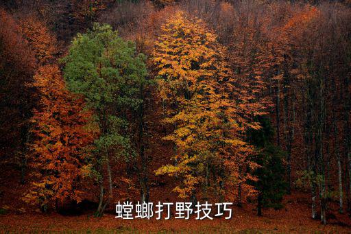 螳螂打野技巧
