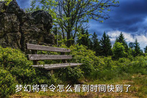梦幻将军令怎么看到时间快到了
