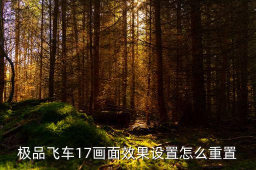 极品飞车17画面效果设置怎么重置
