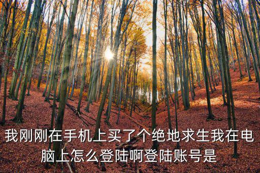 pubg手游怎么登录官网，绝地求生怎么登陆不上去怎么解决