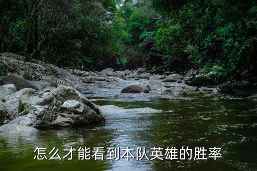 怎么才能看到本队英雄的胜率