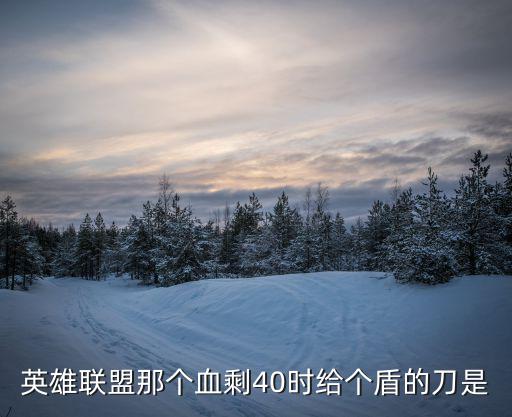 英雄联盟那个血剩40时给个盾的刀是