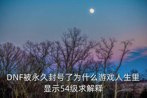 DNF被永久封号了为什么游戏人生里显示54级求解释