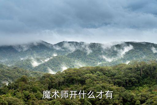 魔术师开什么才有
