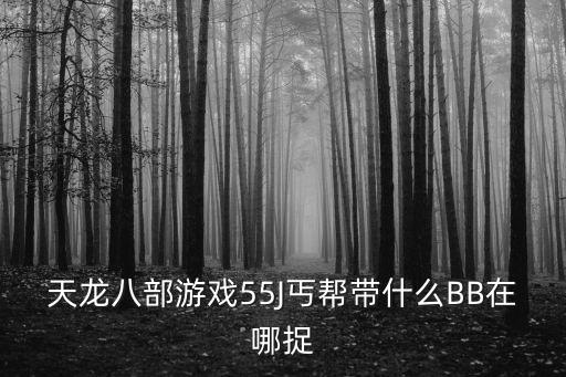 天龙八部游戏55J丐帮带什么BB在哪捉