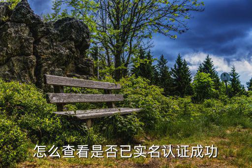 怎么查看是否已实名认证成功