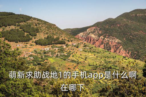 萌新求助战地1的手机app是什么啊在哪下