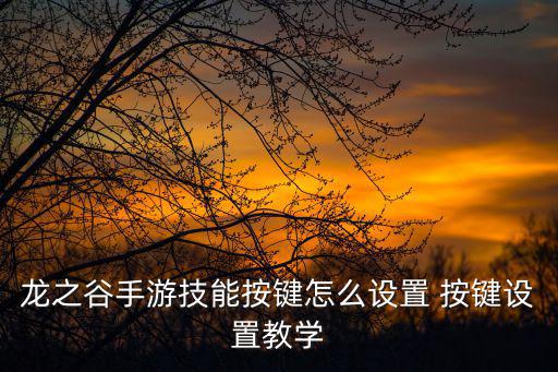 龙之谷手游技能按键怎么设置 按键设置教学