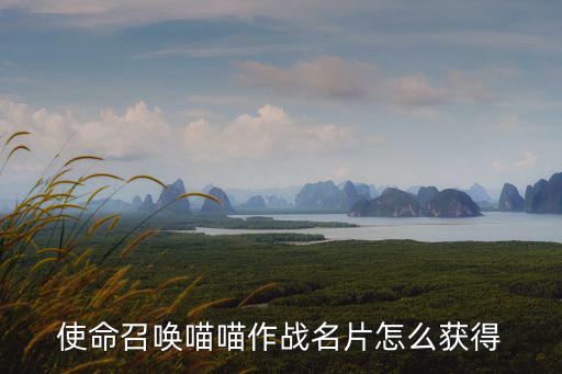使命召唤喵喵作战名片怎么获得