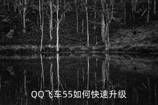 QQ飞车55如何快速升级