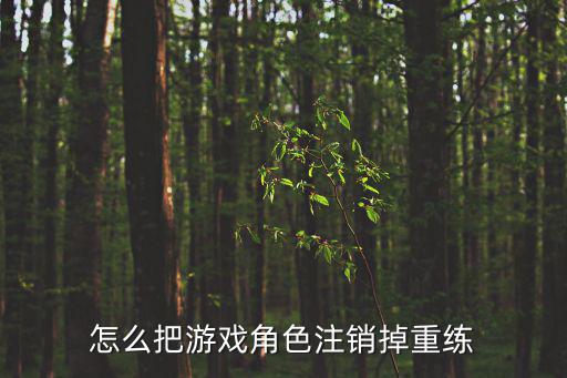 怎么把游戏角色注销掉重练