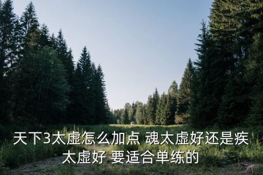 天下3太虚怎么加点 魂太虚好还是疾太虚好 要适合单练的