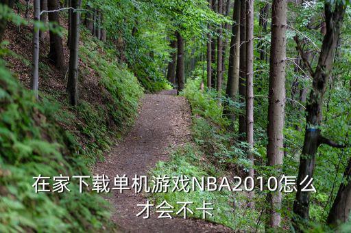 在家下载单机游戏NBA2010怎么才会不卡