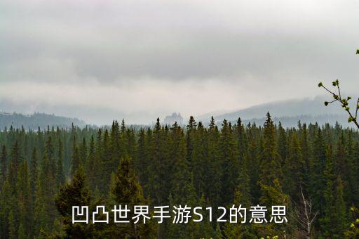 凹凸世界手游S12的意思