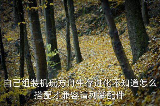 自己组装机玩方舟生存进化不知道怎么搭配才兼容请列举配件