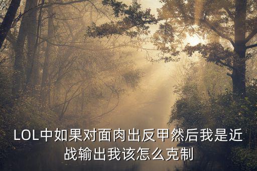 LOL中如果对面肉出反甲然后我是近战输出我该怎么克制