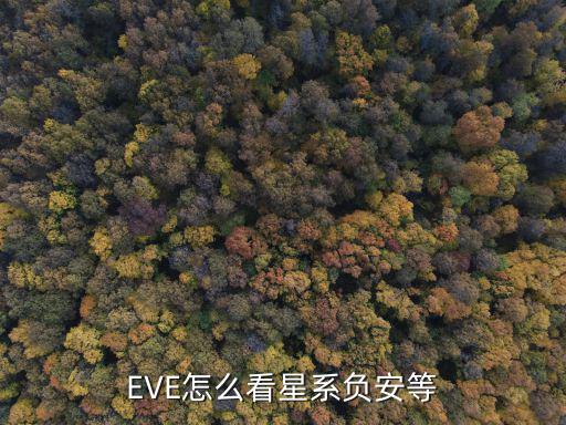 eve手游军团主权星系怎么查看，eve 怎么在星图上看本势力进攻星系