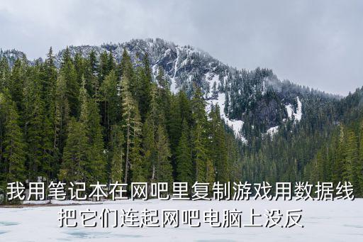 我用笔记本在网吧里复制游戏用数据线把它们连起网吧电脑上没反