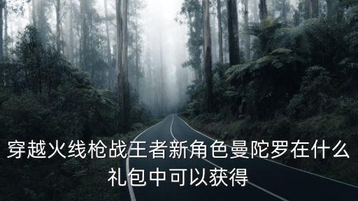 穿越火线手游神秘人物怎么获得，穿越火线手游尼伯尔夜刀怎么获得求解