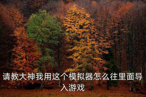 叶子猪手游模拟器怎么导入文件，请教大神我用这个模拟器怎么往里面导入游戏