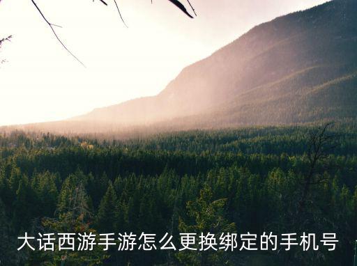 大话西游手游怎么更换绑定的手机号
