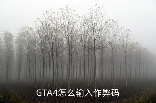 gta4 手游怎么输入代码，GTA4怎么输入作弊码