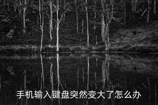 2k21手游键盘突然变大怎么办，手机输入键盘突然变大了怎么办