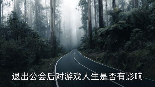 退出公会后对游戏人生是否有影响