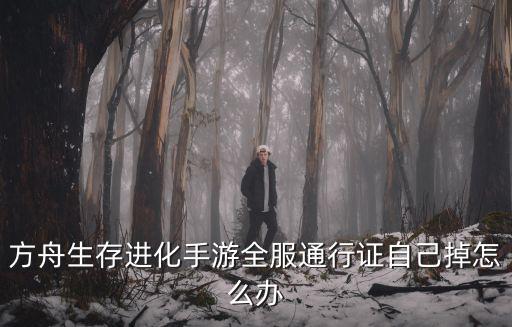 方舟生存进化手游全服通行证自己掉怎么办