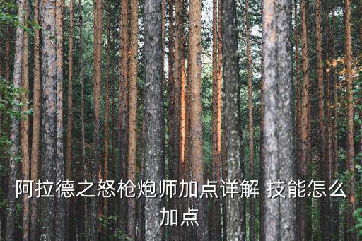 阿拉德之怒枪炮师加点详解 技能怎么加点