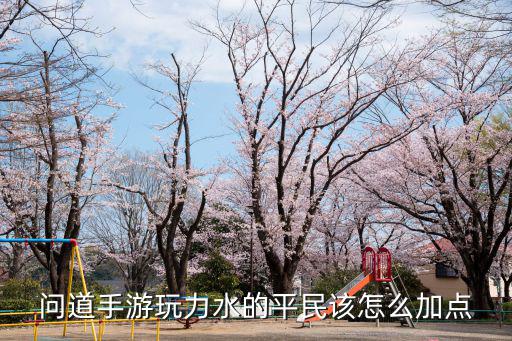 问道手游玩力水的平民该怎么加点
