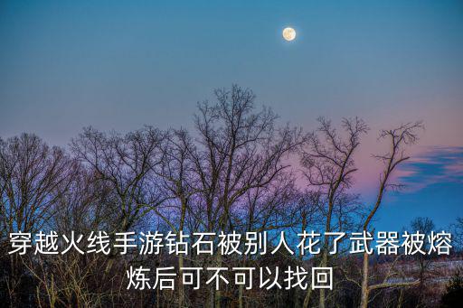 穿越火线手游钻石被别人花了武器被熔炼后可不可以找回